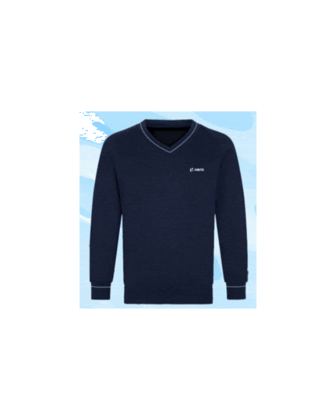 Men V-Neck Full Sleeve Blue Sweater