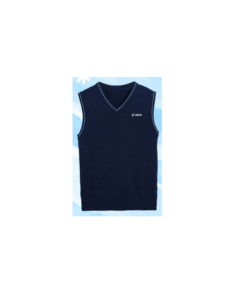 Men V-Neck Sleeveless Blue Sweater