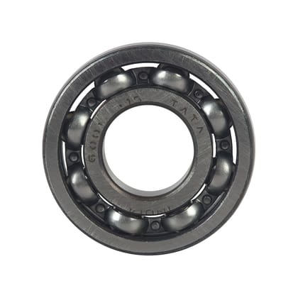 BRG.BALL RADIAL6001-961006001000S