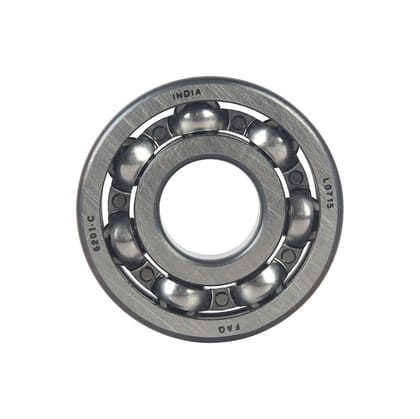 BRG.BALL RADIAL 6201-961006201000S