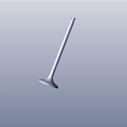 VALVE,EXHAUST - THE CENTENNIAL | Karizma - 14721ACA000S