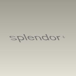 EMBLEM SIDE COVER - Splendor+ - 87117KCC830S