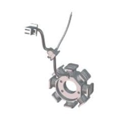 Stator Coil Plate Assembly - Passion Xpro - 31120KZAW01S